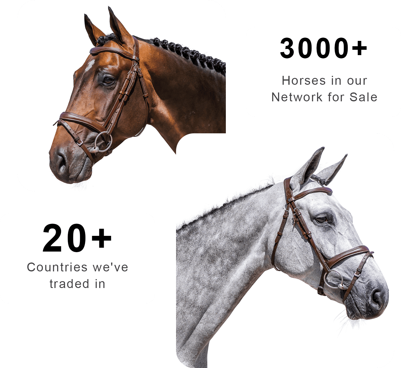 Bridl references banner image